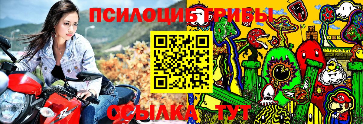 Галлюциногенные грибы мицелий  Галлюциногенные грибы Magic Shrooms  где найти наркотики  Мичуринск  Вход с VPN 