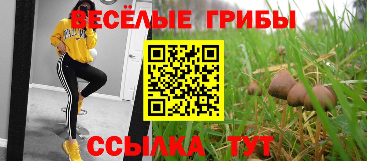 Псилоцибиновые грибы MAGIC MUSHROOMS Мичуринск